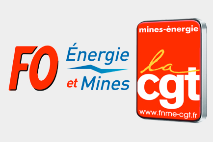 fnem-cgt.jpg