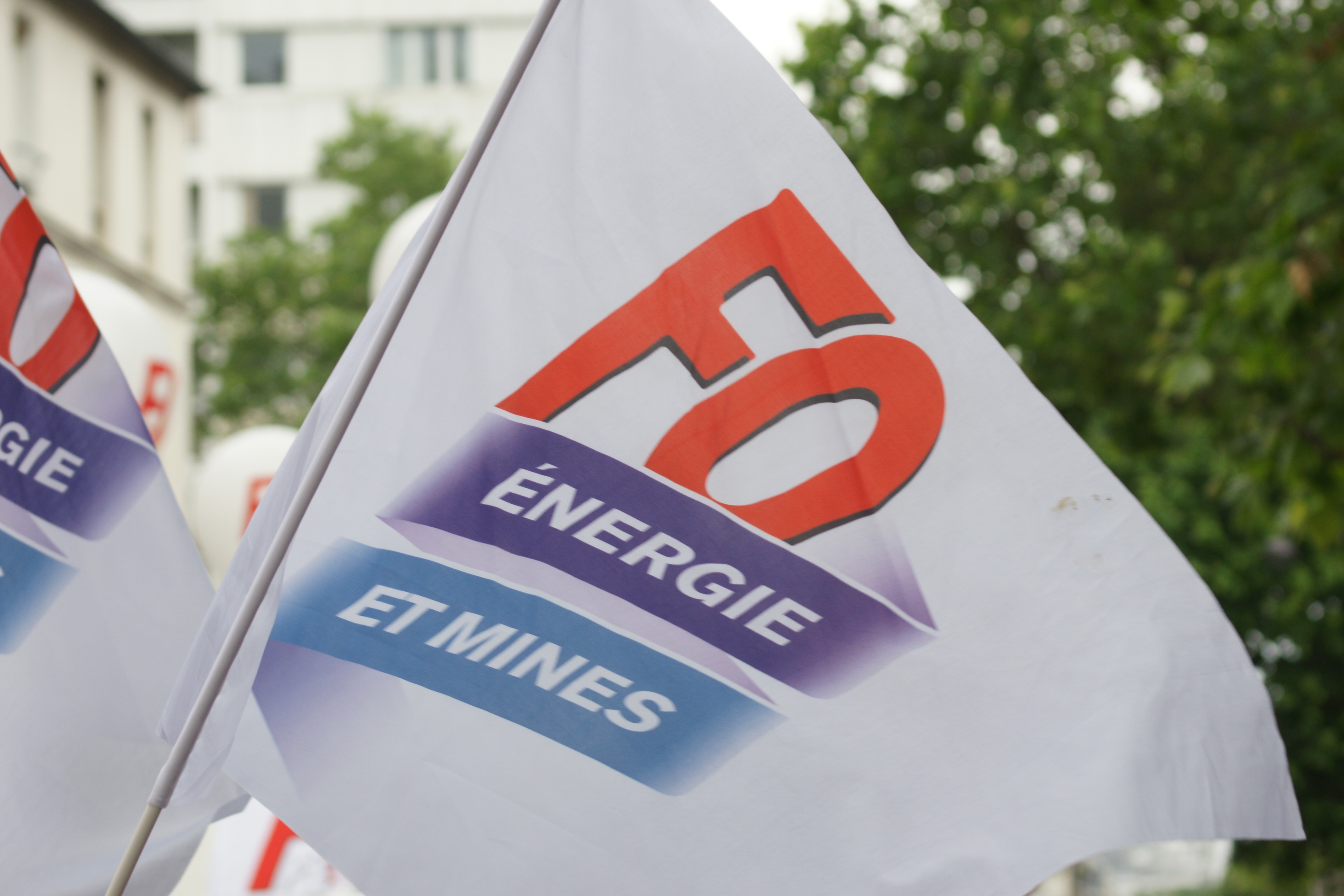 drapeau_fo.jpg